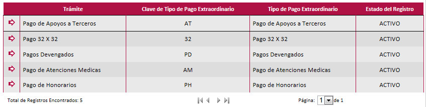 imgTablaCatTiposPagoExtraordinario.jpg