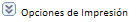 imgCuentasContablesCentrosCostoOpcionesImpresion.jpg