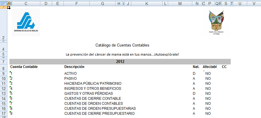 imgRptExcelCuentasContablesCentrosCosto.jpg