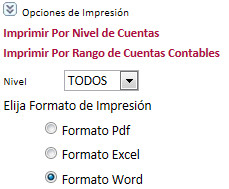 imgRptOpcionesCuentasContablesCentrosCosto.jpg